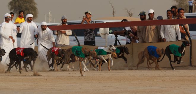 It Happens Only In Dubai