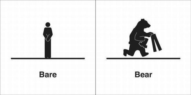 20 Homophones That Are the Wordiest Of Words