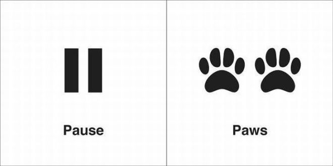 20 Homophones That Are the Wordiest Of Words