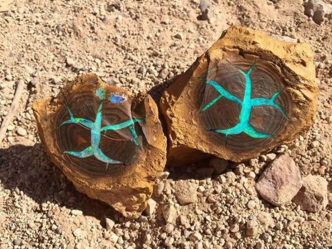 Amazing Unseen Photos From All Over The World