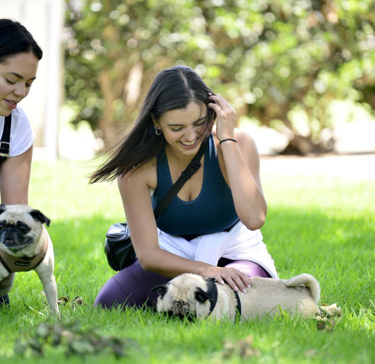 Pretty Rebecca Black Practicing Yoga In A Park