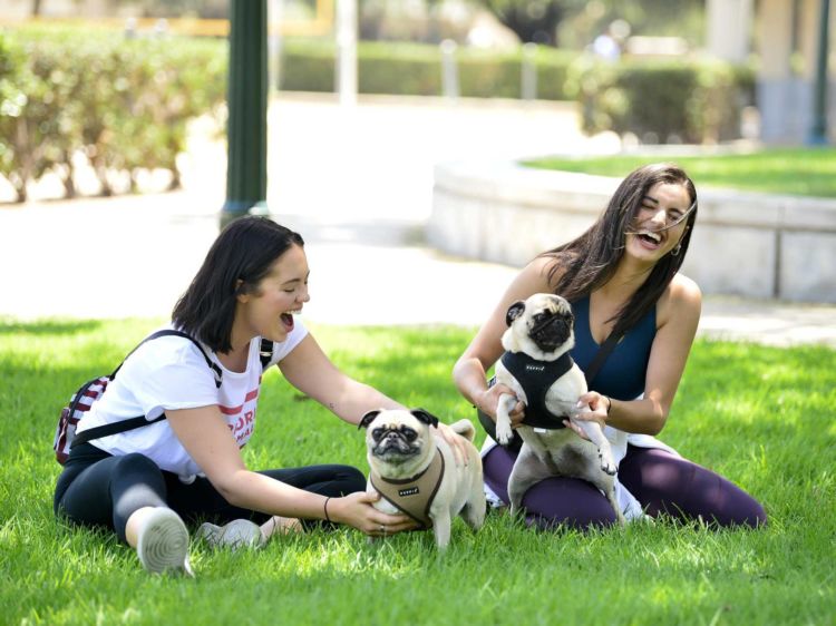 Pretty Rebecca Black Practicing Yoga In A Park