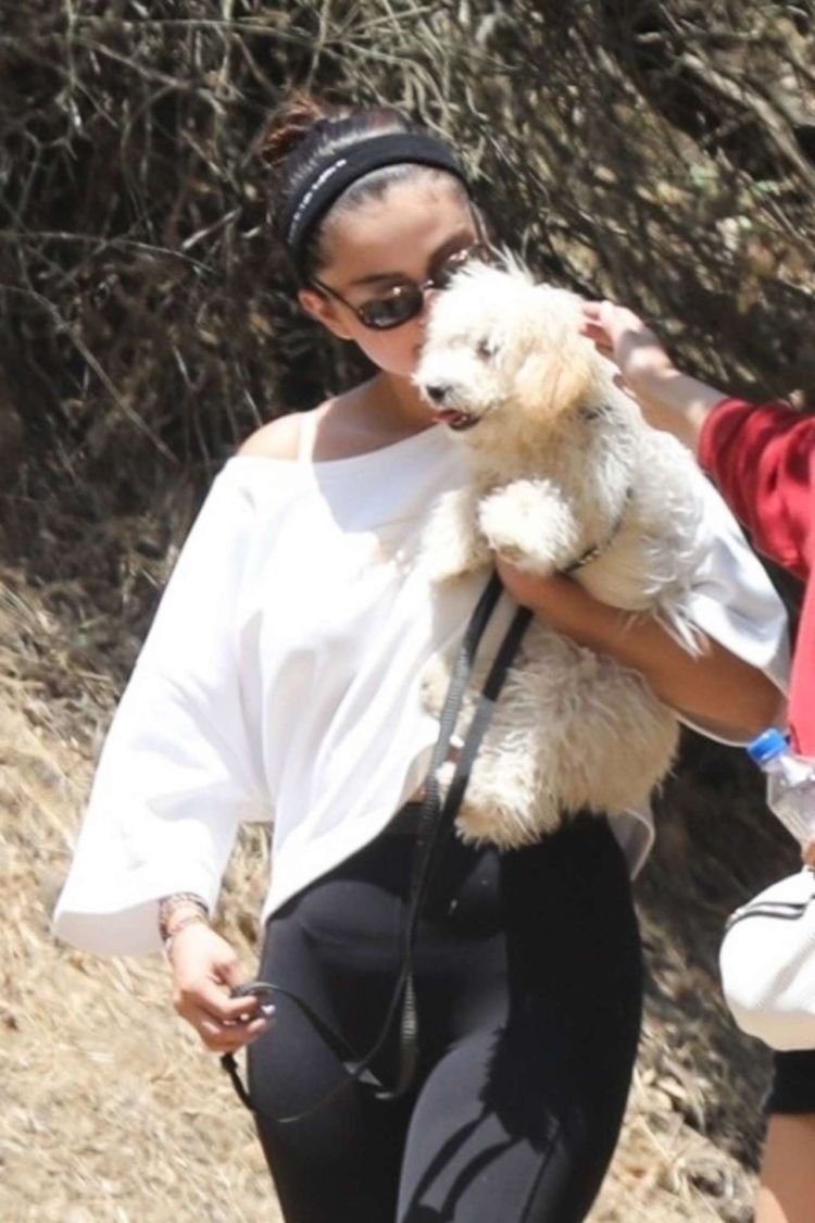 Selena Gomez Out For A Hike With Her Friends And Her New Puppy